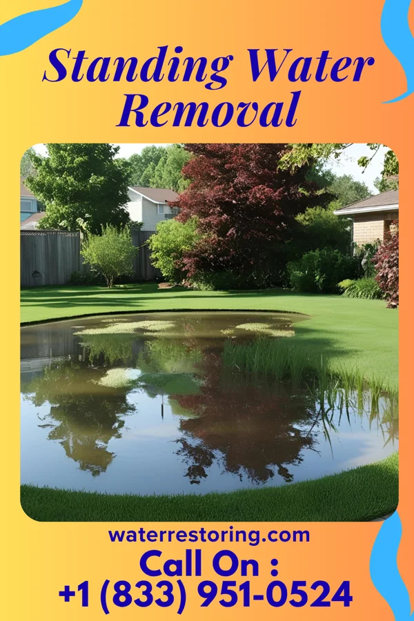 Standing Water Removal in Windom, KS